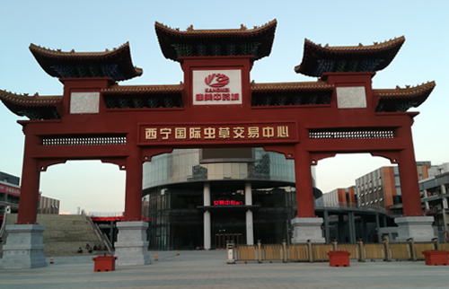 西寧康美中藥城LED粉色视频视频网站